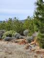 Lot 01 Woodcutters Way - Photo 14