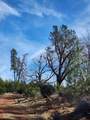 Lot 01 Woodcutters Way - Photo 31