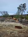 Lot 01 Woodcutters Way - Photo 8