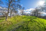 21300 Meadowgate Drive - Photo 9