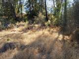 xx Shasta Dam Blvd - Photo 1