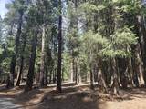 Lot # 6 Colossians Way - Photo 8