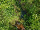 12876 Fork Road - Photo 67