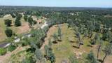 Lot 62 Bowman Road - Photo 6
