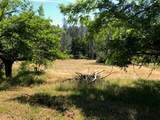  Lakeview Dr - Photo 7