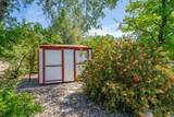 4824 Pecan Drive - Photo 23