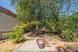 4824 Pecan Drive - Photo 34