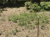  Phillips Road - Photo 10