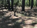  Phillips Road - Photo 13