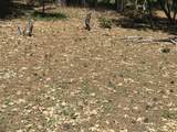  Phillips Road - Photo 14