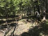  Phillips Road - Photo 5