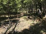  Phillips Road - Photo 6