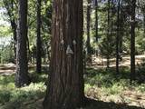  Phillips Road - Photo 9