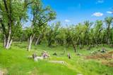6691 Reading Creek Road - Photo 74
