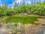 6691 Reading Creek Road - Photo 77