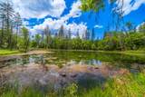 6691 Reading Creek Road - Photo 80