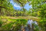 6691 Reading Creek Road - Photo 81