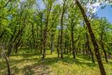 6691 Reading Creek Road - Photo 86