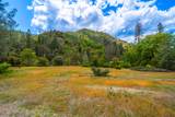 6691 Reading Creek Road - Photo 92