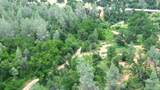 Lot 55 Bowman Road - Photo 15