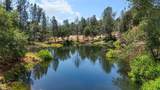 13309 Fernie Way - Photo 3