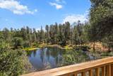 13309 Fernie Way - Photo 48