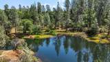 13309 Fernie Way - Photo 49