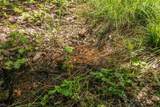 2940 Dutch Creek Road - Photo 44