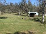 17065 Austin Lane - Photo 31