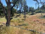13679 Old Oregon Trail - Photo 10