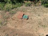 13679 Old Oregon Trail - Photo 14