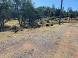 13679 Old Oregon Trail - Photo 15
