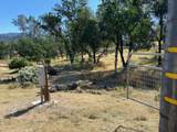 13679 Old Oregon Trail - Photo 7