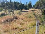13679 Old Oregon Trail - Photo 9