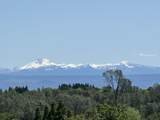 1163 Golden Gate Trail - Photo 46