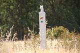 Lot 46 Del Mar Drive - Photo 20