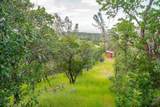 16785 Billy Lane - Photo 56