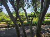 8198 Green Acres Lane - Photo 82