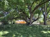 8198 Green Acres Lane - Photo 85