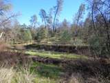  15.5 Acres Hwy 299E - Photo 11
