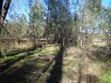  15.5 Acres Hwy 299E - Photo 12