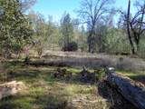  15.5 Acres Hwy 299E - Photo 3