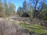  15.5 Acres Hwy 299E - Photo 4