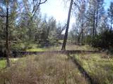 15.5 Acres Hwy 299E - Photo 5