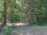  Nehemiah Drive - Photo 4