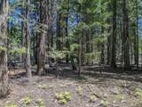  Nehemiah Drive - Photo 8