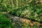 31 Rocky Road - Photo 15