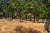 19763 Indian Creek Drive - Photo 8