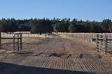 3141 Meadow Oak Drive - Photo 54