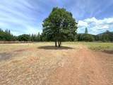 29093 Day Road - Photo 39